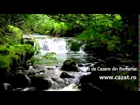 Cazare Hodis, Arad - Cazat.ro