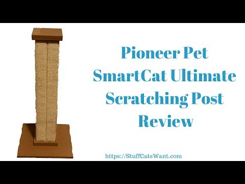 Pioneer Pet SmartCat Ultimate Scratching Post Review