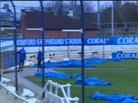 Coral Golden Sprint Heat 4 - Romford 15:29 5th March
