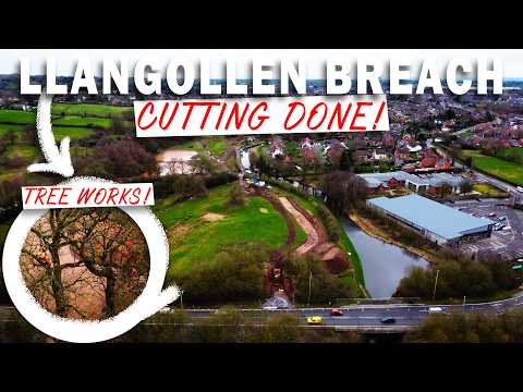 ROLLER ON SITE! LLANGOLLEN CANAL BREACH HUGE UPDATE! AS CUTTING IS COMPLETE & TREE WORKS START!