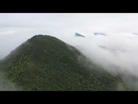 Twilight Saga Ambience | official soundtrack favorites with a view above forks, washington