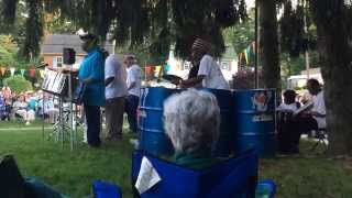 Red Red Wine by Trinidad & Tobago Baltimore Steel Orchestra