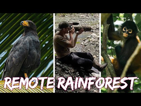 Photography In The Most Remote Rainforest Of CostaRica/Rainforest