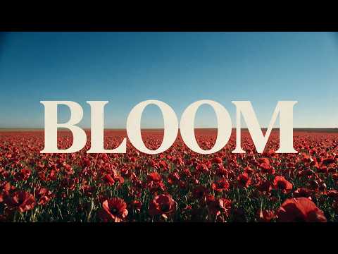 BLOOM