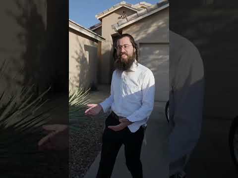 "Erev Shabbos: Boro Park vs Arizona 😱"