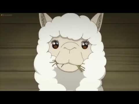 Zoofilia (si me desactivan los comentarios me corto un huevo😡🤬)