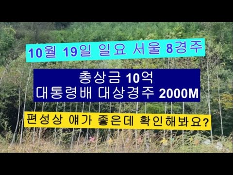 10/19일요-8경주-대승-총 상금 10억 대통령배 대상경주 우승마 같이한번 찾아봐요?