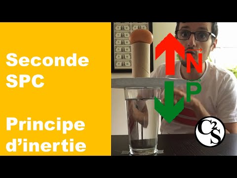 L'oeuf fou, le principe d'inertie - Physique - Lycée