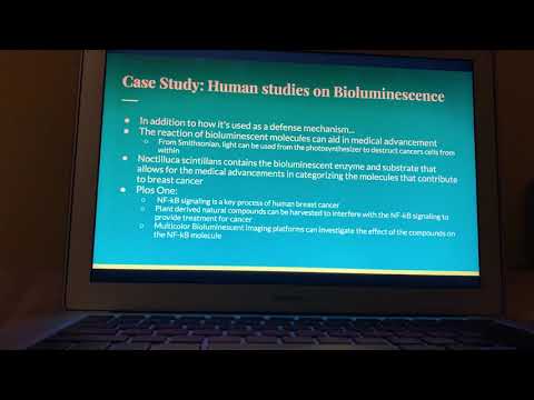 Creature Feature Presentation: Mara Parau