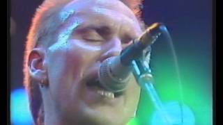 Men At Work  - Who Can It Be now - live Rockpalast '83