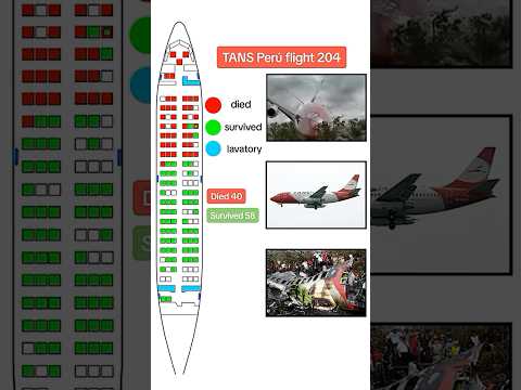 TANS Perú Flight 204 crashed near Pucallpa on 23 August 2005 after an emergency landing, killing 40