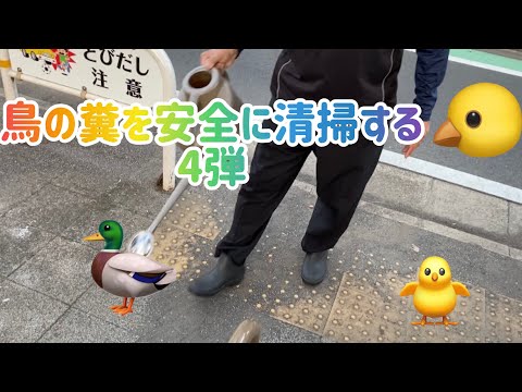 コンクリートテラスから鳥の糞を掃除する方法