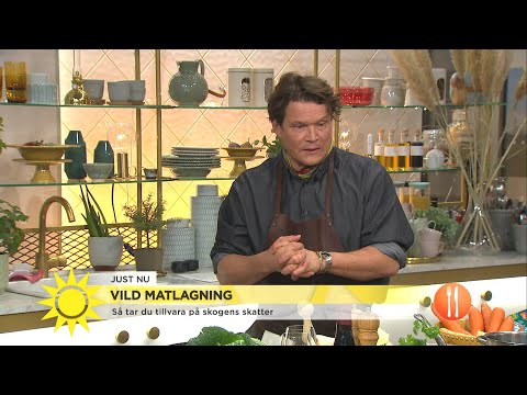 Per Morbergs utfall mot Nyhetsmorgon: &quotJag kommer aldrig mer hit&quot - Nyhetsmorgon (TV4)