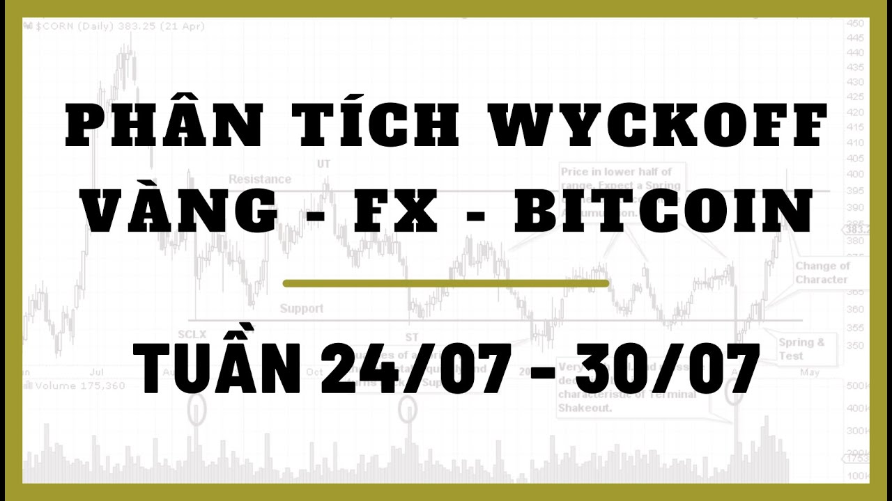 Phân Tích VÀNG-FOREX-BITCOIN Tuần 24-30/07 Theo Phương Pháp WYCKOFF