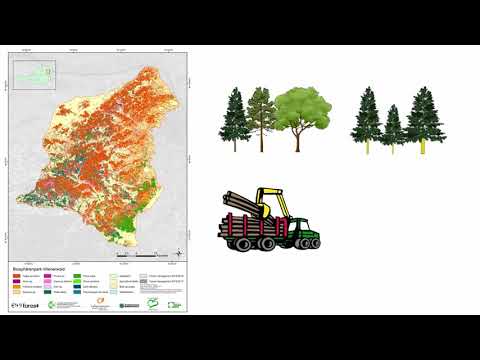 11 Sentinel - Satellitendaten für forstliche Anwendung