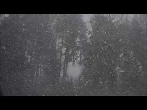 BRIDGES with Seamus Blake - "Snowfall"