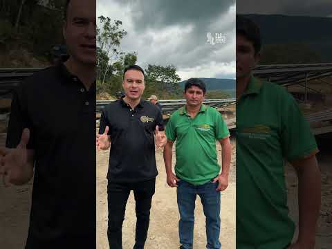☀️🌱 El campo de Ragonvalia se ilumina con energía solar por primera vez