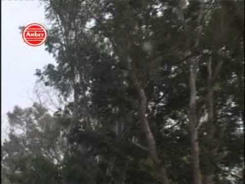 YouTube Fallback Thumbnail