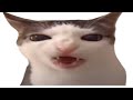 Cat Crunching Meme 1 Hour