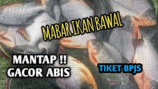 Download lagu NGEGEMBOL IKAN INI JUDULNYA !! ACARA MABAR IKAN BAWAL || UMPAN GACOR BUAT MANCING IKAN BAWAL  mp3