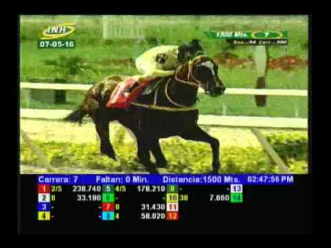 Resumen Sábado, 07 de Mayo de 2016 - La Rinconada