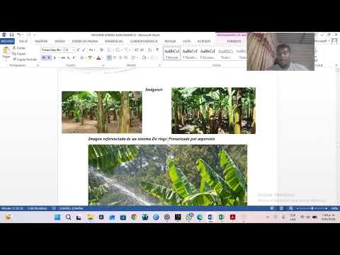 diseño agronómico: sistema de riego Presurizado por aspersión/ platano curumani cesar