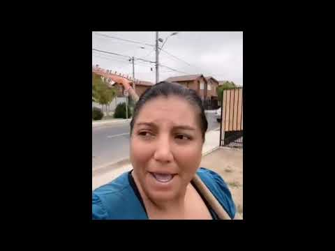 Mami que tu quiere aquí llego tu tiburón