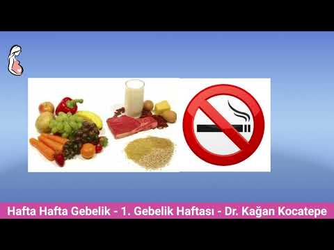 Gebelikte 1. haftada anne adayı ve bebekte nasıl değişiklikler olur. (Hafta hafta gebelik 1.  hafta)