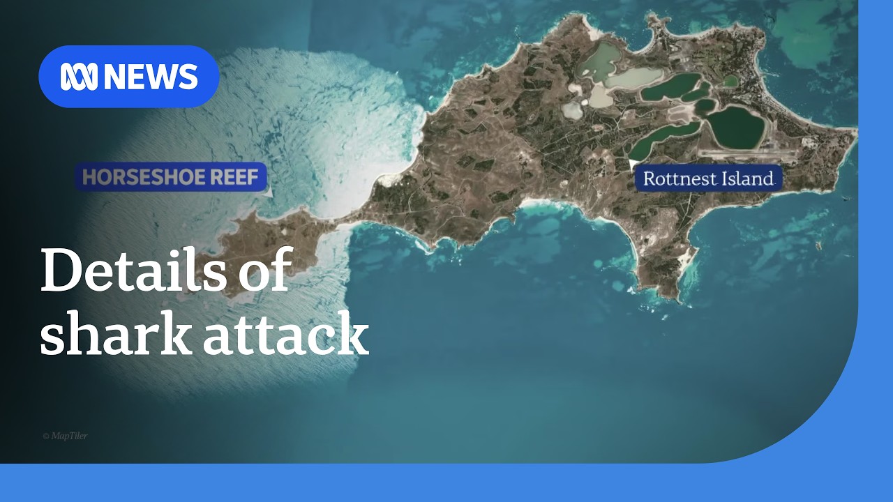 Deadly shark attack victim off WA’s Rottnest Island was experienced spearfisherman | ABC NEWS
