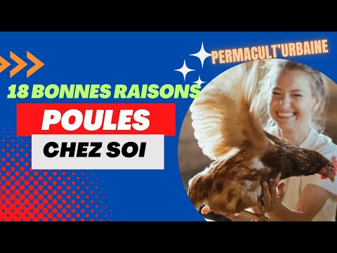 , title : '4 intérêts et 18 raisons profondes pour avoir des poules chez soi et en ville'