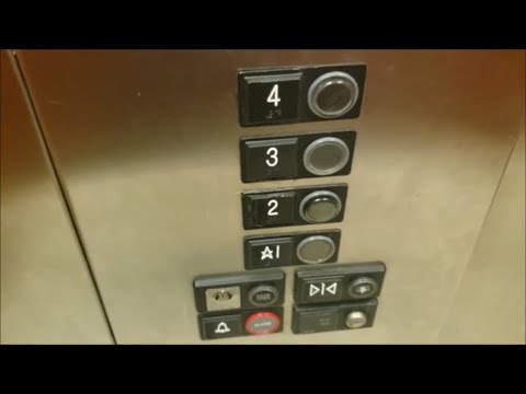 US Soft Touch/TK Aurora Hydraulic Elevators - Wingate by Wyndham USF Near Busch Gardens - Tampa, FL