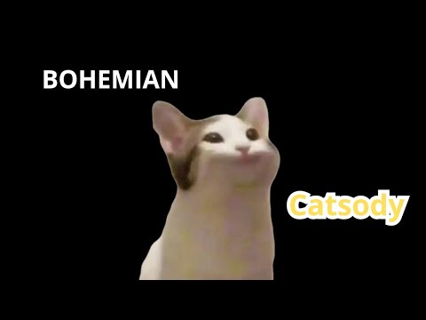 BOHEMIAN CATSODY - QUEEN #popcat