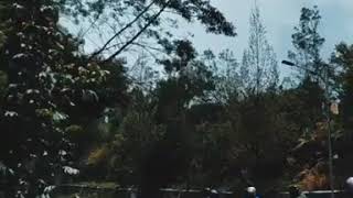 Download lagu story' wa kucintai kau setulus hati🎶jawatengah punya‼️ mp3