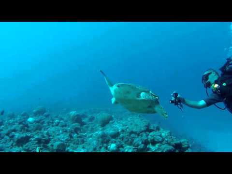 2016 05 03 Les 3 ancres