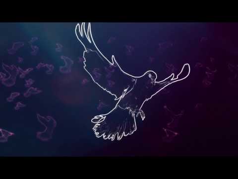 Otosan - Lights feat. Metoyer (Official Video)