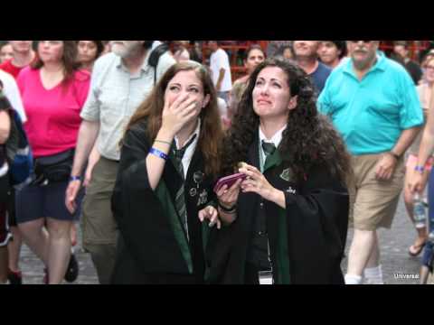 Learning From Theme Parks | Morgan Richardson | TEDxMilpitasHighSchool