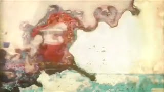 Ducktails - "The Disney Afternoon" (UNOFFICIAL MUSIC VIDEO)