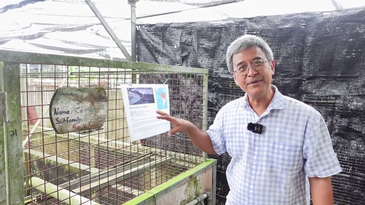 Crocodile Farm in Singapore! "Explore the Kranji Countryside"