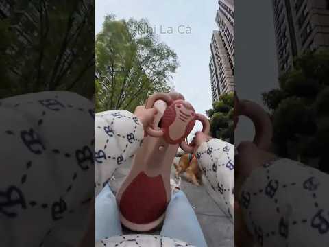 Do cô chủ không bám chắc mà