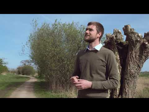 Blijf bij mij, Heer', want d’ avond is nabij