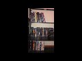 Overview Of My Entire DVD VHS Blu Ray Video Game CD Collection 2020 Edition