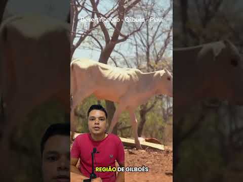 Desertificação - Gilbués - Piauí #viral #Desertificação #Gilbués #Piauí #deserto
