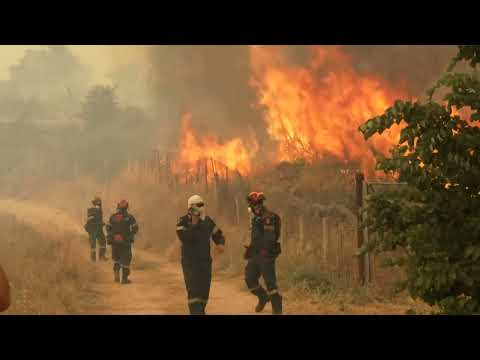 Video Thumbnail: Greece battles wildfires, drought shuts Hungary's nuclear power plant