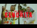 SNIK x Tamta - SENORITA (Official Music Video)