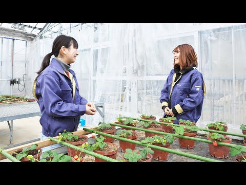 食産業学群「オンライン企業インタビュー」/インターンシップⅠ
