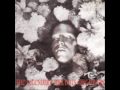The Legendary Pink Dots - Premonition 16