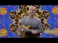 Henry Kaiser : Monthly Solo #9 : 12 String Guitar Antics : with Max Kutner & Chris Muir