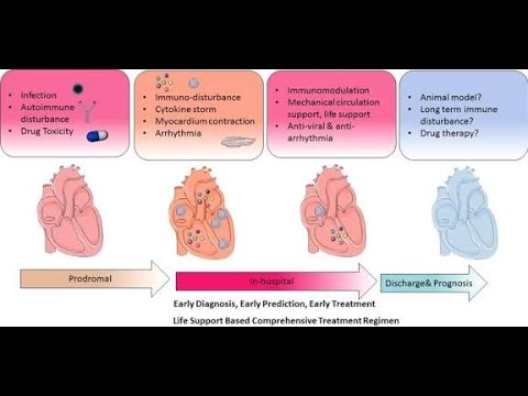 Toxic myocarditis; inflammatory injury of the heart muscle caused by exposure to drugs, toxins