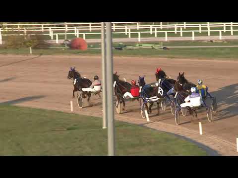 2020.11.07. 04. futam - FÖVENY DÍJ