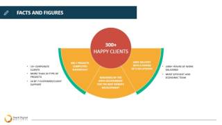 Stark Digital Media Services Pvt Ltd Company Profile